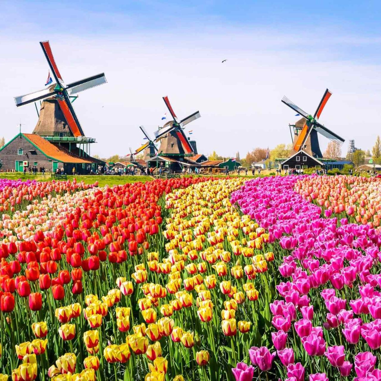 https://phenomglobaltravels.com/wp-content/uploads/2018/09/destination-netherlands-01-1280x1280.jpg