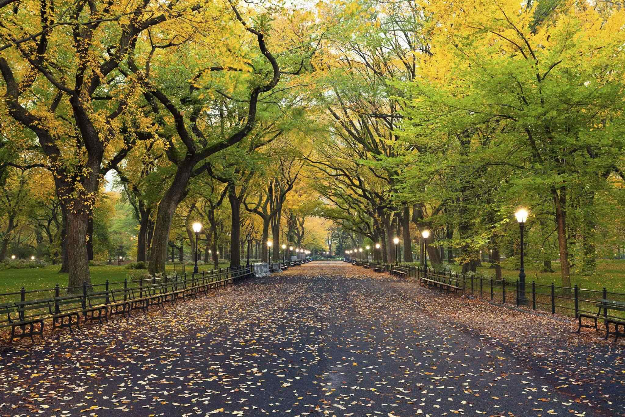 destination-new-york-02 https://phenomglobaltravels.com/wp-content/uploads/2018/09/destination-new-york-02.jpg