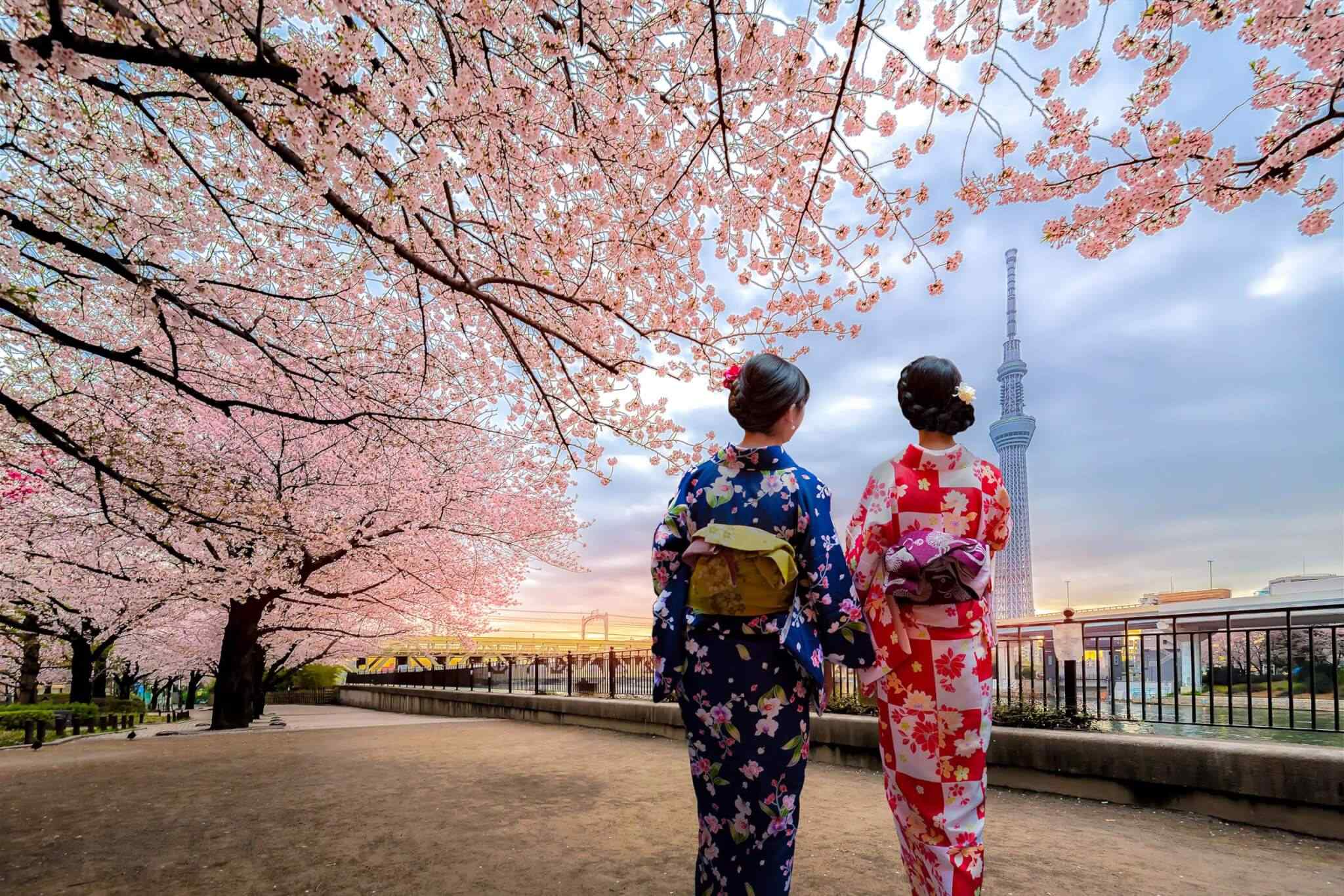 destination-tokyo-03 https://phenomglobaltravels.com/wp-content/uploads/2018/09/destination-tokyo-03.jpg