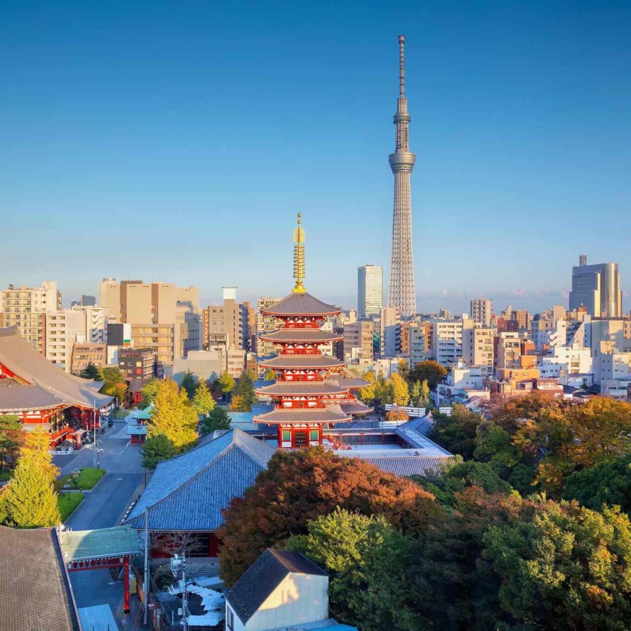 https://phenomglobaltravels.com/wp-content/uploads/2018/09/destination-tokyo-04-1280x1280.jpg