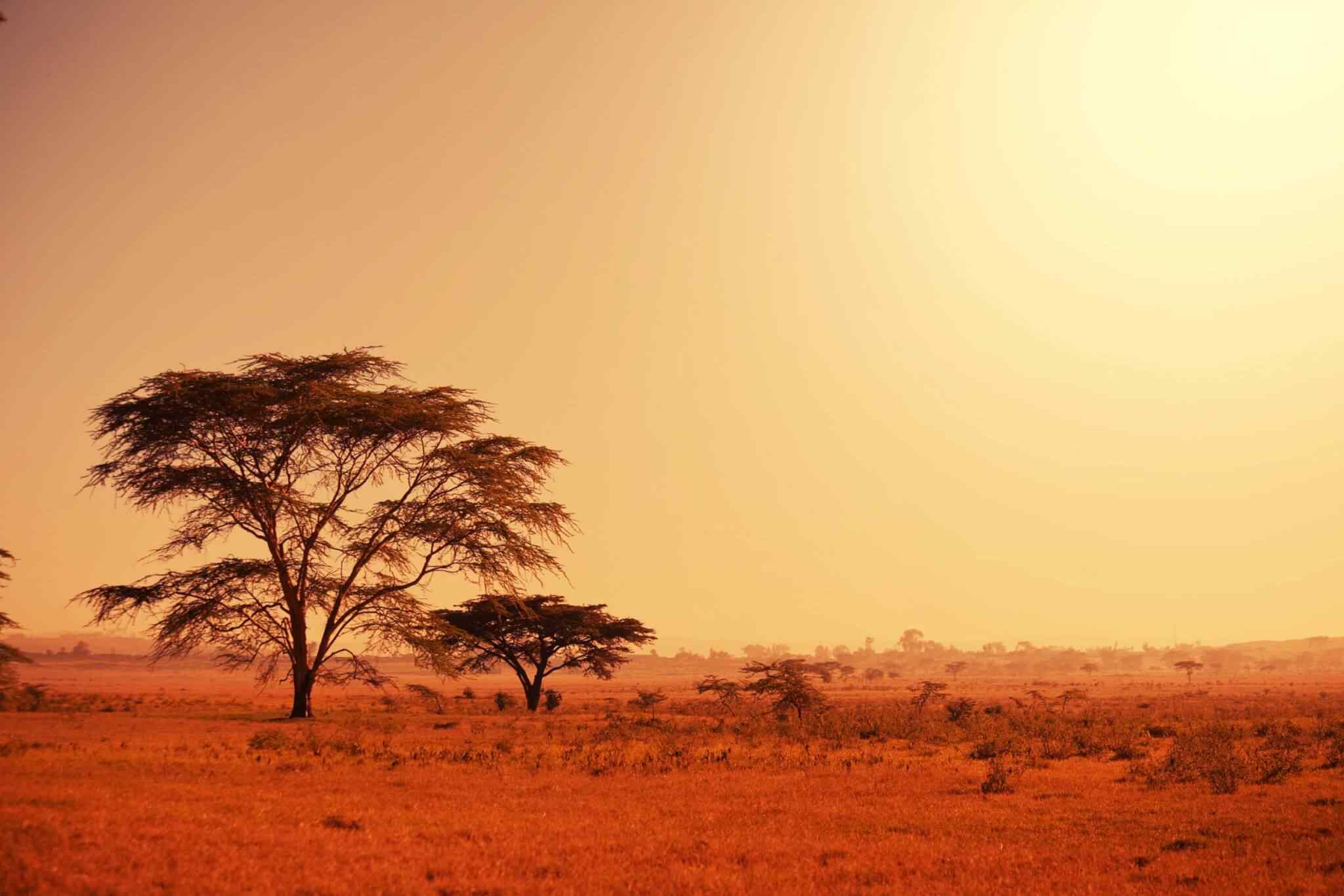 https://phenomglobaltravels.com/wp-content/uploads/2018/09/tour-africa-02.jpg