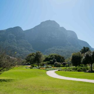 https://phenomglobaltravels.com/wp-content/uploads/2018/09/tour-capetown-03-320x320.jpg