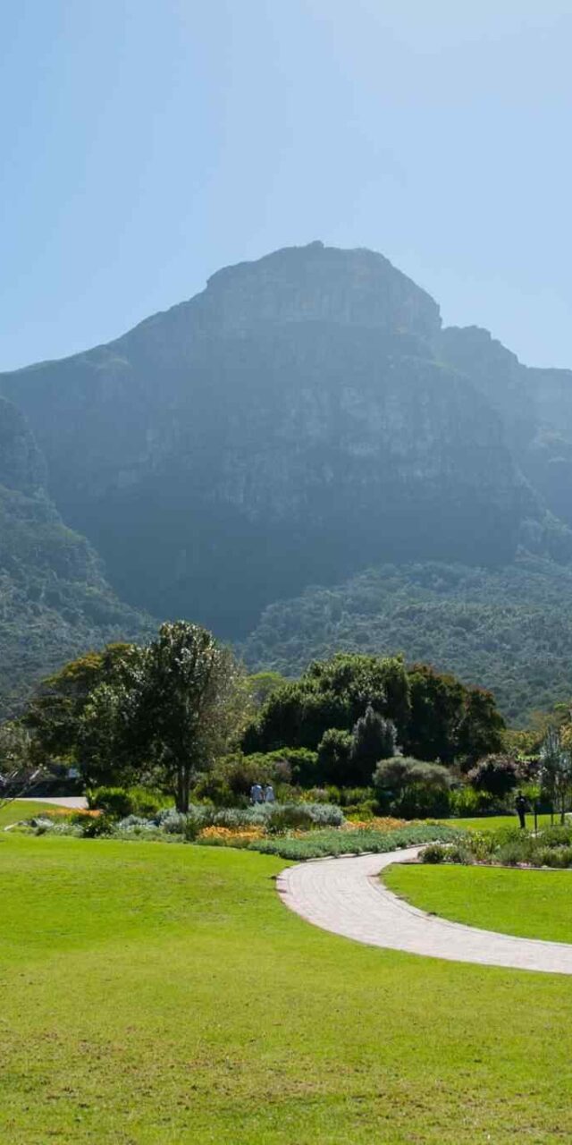 https://phenomglobaltravels.com/wp-content/uploads/2018/09/tour-capetown-03-640x1280.jpg