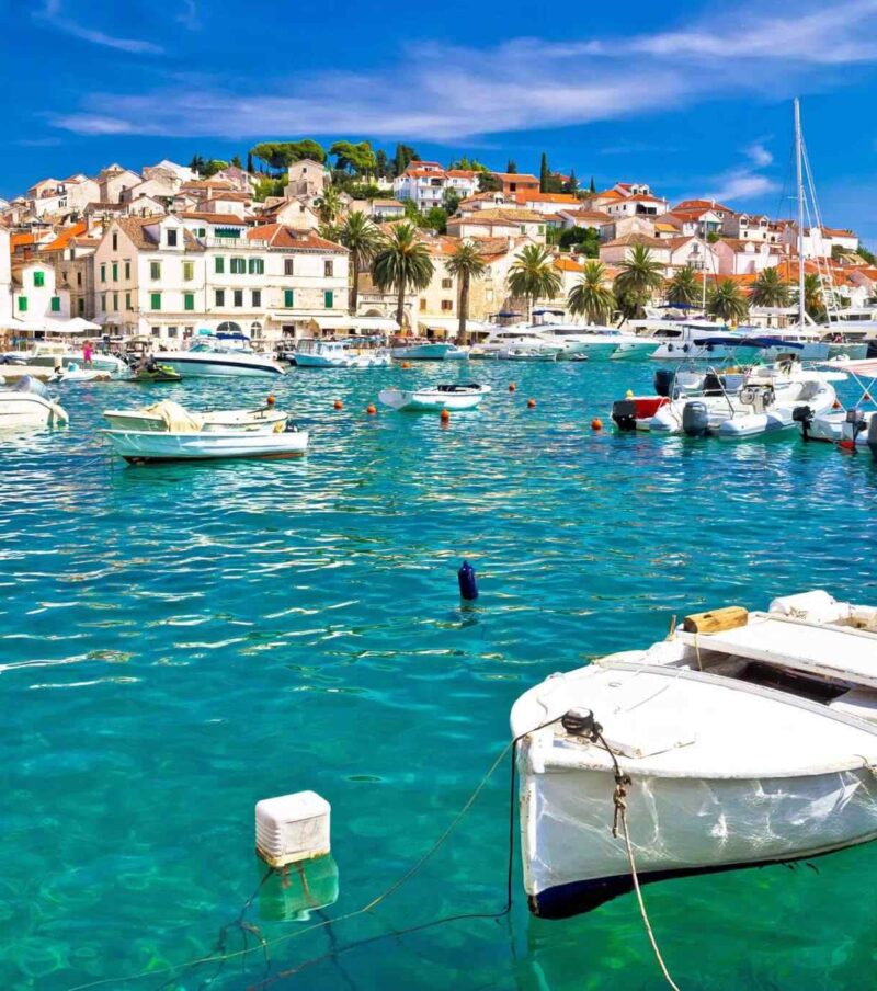 Blue Dalmatia
