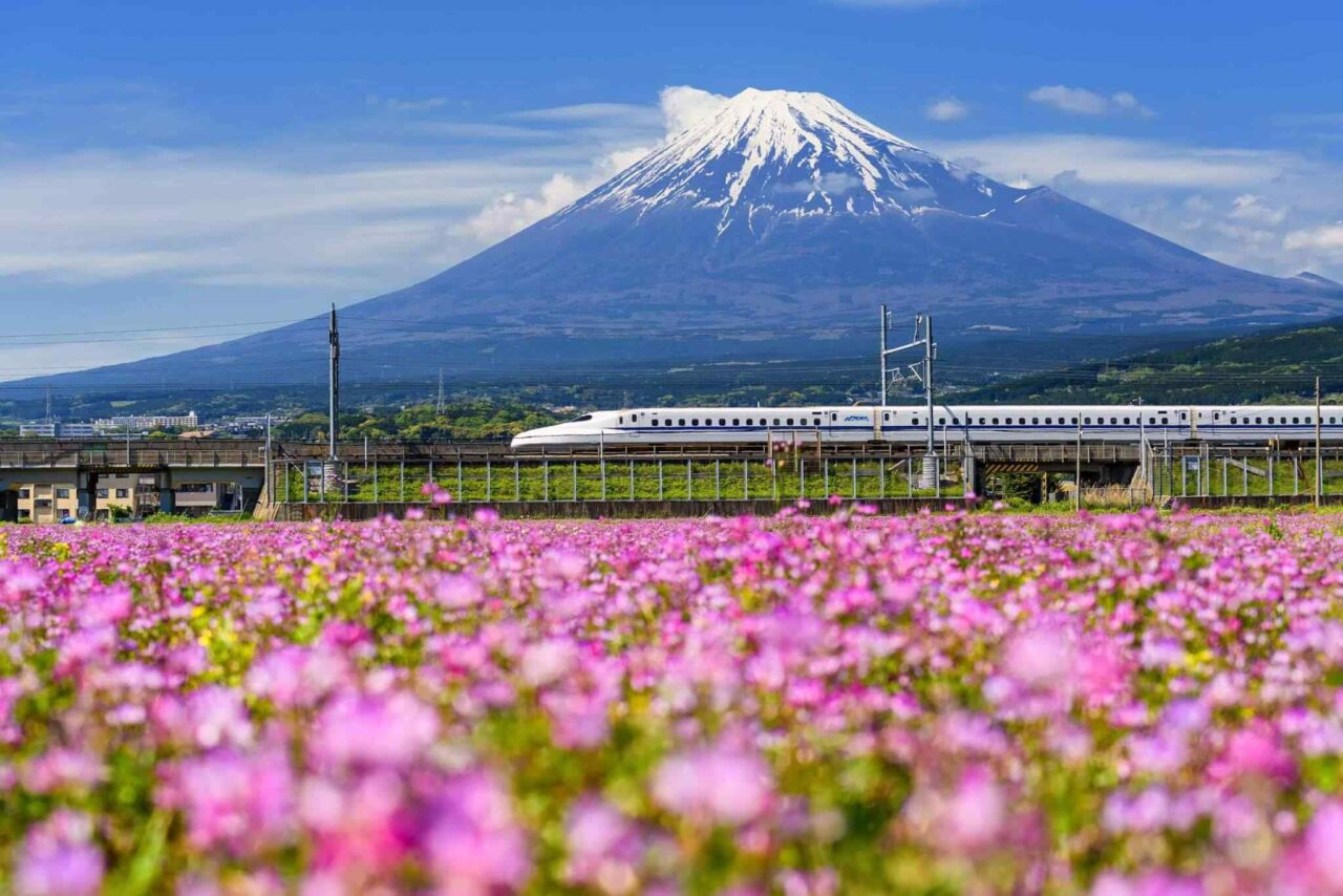 tour-osaka-04 https://phenomglobaltravels.com/wp-content/uploads/2018/09/tour-osaka-04-1280x854.jpg